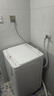 海信（Hisense）全自动波轮洗衣机8KG小型健康 一级能效 家用租房宿舍WT80N1Q以旧换新家电补贴 京东自营 实拍图