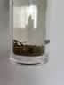 抱儿钟秀2026新茶上市霍山黄芽特级茶叶黄茶明前有机春茶高山75g 实拍图