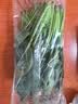 大菠菜300g 实拍图