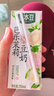 豆本豆芭乐茉莉豆奶250ml*20盒植物蛋白饮料儿童营养学生早餐奶礼盒批发 实拍图