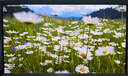飞利浦EVNIA弈威32英寸 4K240Hz AR3.0黑透屏五层堆叠OLED DP2.1光效TypeC 电竞显示器 天王星32M2N8900X 实拍图