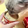 弗列加特 98%高含肉量 猫罐头 FPMR生骨肉猫湿粮 鲜鸡肉幼猫主食罐头95g 实拍图