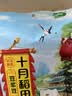 十月稻田 豆浆豆 2斤 豆浆原料 黑豆红豆黄豆 非转基因 高蛋白 早餐 代餐 实拍图