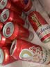 百威【梅西同款】经典红罐啤酒450mL 18罐整箱装喜宴 实拍图