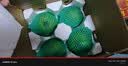 京鲜生安徽砀山青皮青翠蜜梨净重3斤 单果250g+新鲜水果 凉补水源头直发 实拍图