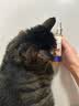 GERTHRON德国狗狗猫咪开结喷雾防静电宠物专用毛发护毛精油长毛解结护毛素 100ml*2瓶 宠物解结喷剂 长效持久 防止静电干扰 实拍图