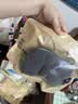 有棵树【肌理短筒】袜子男夏季纯棉10A抗菌吸汗透气防臭抗起球休闲短袜 实拍图
