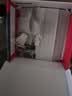 任天堂（Nintendo）【国内保税仓】Switch2/1代 OLED日版/港版游戏机续航加强版ns体感掌机便携家用主机 港版Switch2国际版赠共享会员保税仓 实拍图