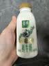伊利金典鲜牛奶235ml*6瓶+金典208ml*6瓶低温牛奶 源头直发 包邮 实拍图
