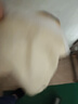 【活动】抱枕靠垫办公腰枕床头靠枕腰靠卡通可拆洗(含芯/不含芯) 皮卡丘 36cm*36cm 枕套 （单只装） 实拍图