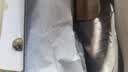 意迪森冬季加棉女士棉鞋中老年雪地靴加绒保暖一脚蹬棉鞋 黑色低帮 37 实拍图