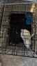 宠乐乖（CHONGLEGUAI）狗笼猫笼狗笼子中小型犬带厕所幼犬折叠便携猫笼子猫咪兔笼600ZG 实拍图