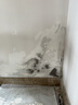 立邦固沙剂水泥地面防潮补墙膏墙面修复防霉抗菌堵洞腻子膏白色2.5kg 实拍图