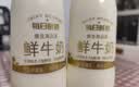 每日鲜语鲜牛奶4.0g蛋白质 211ml*6 家庭必备  巴氏杀菌乳 低温奶 实拍图
