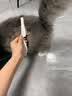 柒哦猫梳子跳蚤梳猫咪除蚤排梳狗狗梳子去跳蚤梳密齿梳神器猫用品 大除蚤排梳【大号】 实拍图