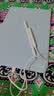 HUAWEI M-Pencil 套装 平板创作笔 华为手写笔 星闪技术超低时延 雪域白 实拍图