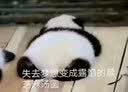 中国画国画入门技法教程技有所承画荷花八所美术学院老师联合推荐从入门到提高的国画教程图解视频讲座临摹创作赏析荷花绘画基础入门 实拍图