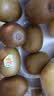 佳沛（zespri）新西兰阳光金奇异果16粒礼盒经典果单果 88-103g  猕猴桃水果礼盒 实拍图