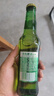 青岛啤酒（TsingTao）经典啤酒 316ml*24瓶 整箱装 中秋节送礼 实拍图
