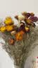 爱满干花 真花 云南麦杆菊花小雏菊天然风干花束摆设插花网红装饰摆件 麦秆菊彩色一束（40朵以上花头） 干树枝 实拍图