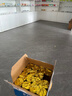 驰怡 （chiyi） 收银纸 超市热敏纸小票纸打印纸 打印清晰 57mm*50mm热敏纸32卷(单卷纸长约19米) 实拍图