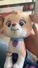 汪汪队立大功（PAW PATROL）毛绒玩具陪睡玩偶经典款珊瑚中号坐姿公仔男女孩儿童生日礼物 实拍图