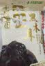 十月稻田 东北黑木耳 500g 干木耳 黑龙江东宁特产 肉厚无根 火锅煲汤炒菜 实拍图