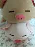 名创优品（MINISO）小猪B-BO黑皮甜筒小猪玩偶抱枕床上陪睡公仔宿舍生日礼物送女生 实拍图