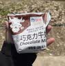 海河巧克力牛奶220ml*10袋整箱牛角包儿童学生早餐奶新鲜乳品饮料 实拍图