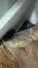 京东跑山猪黑猪肋排块 4斤 免切含软骨煲汤红烧烧烤生鲜食材 实拍图
