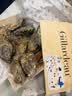 吉娜朵鲜活法国进口活体生蚝12只N0/N1/N4 生鲜牡蛎 即食刺身 源头直发 12N1 实拍图
