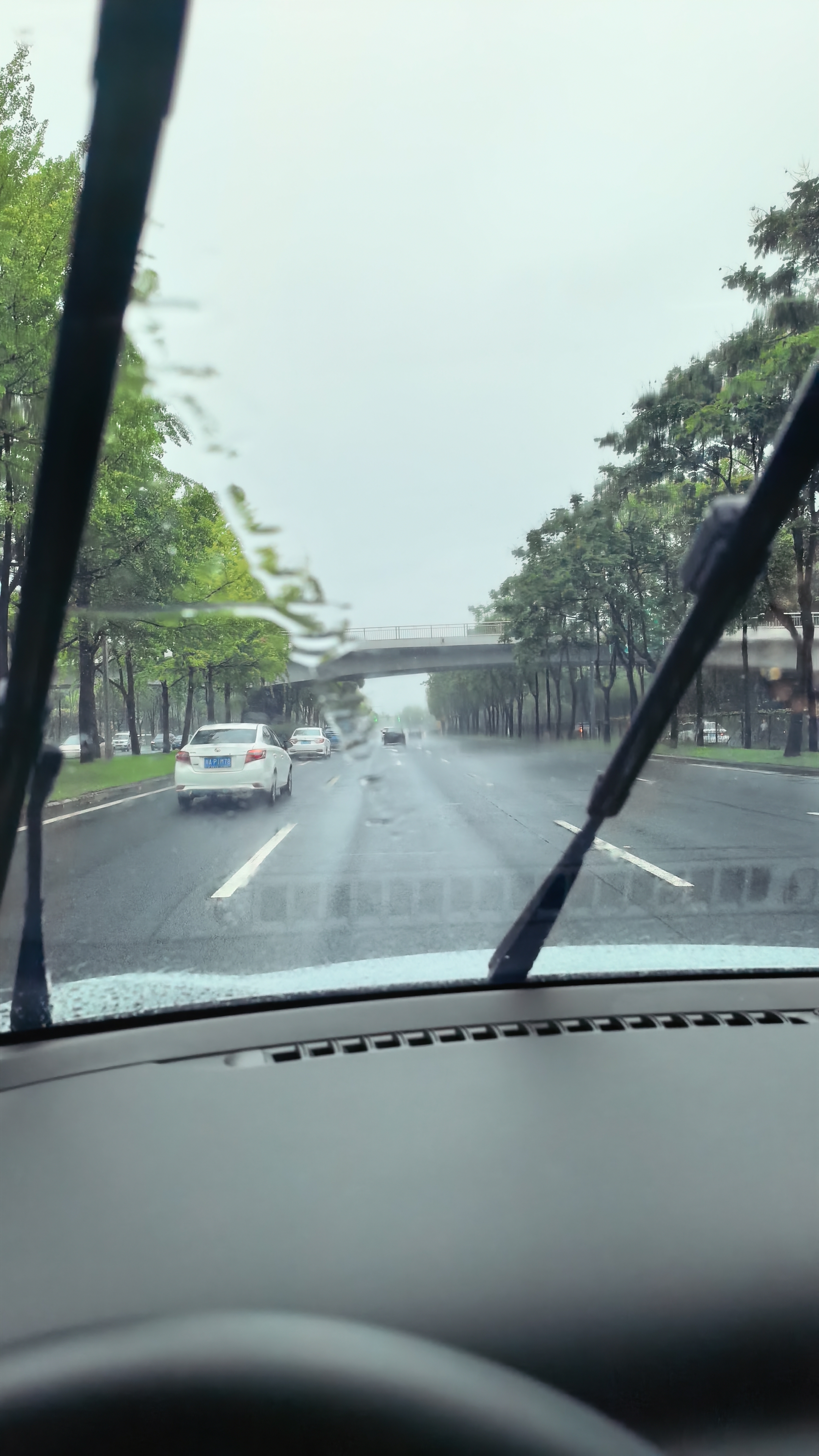保赐利黄油润滑油 车门异响喷雾剂汽车车用机械液体铰链手喷润滑脂450ml 实拍图