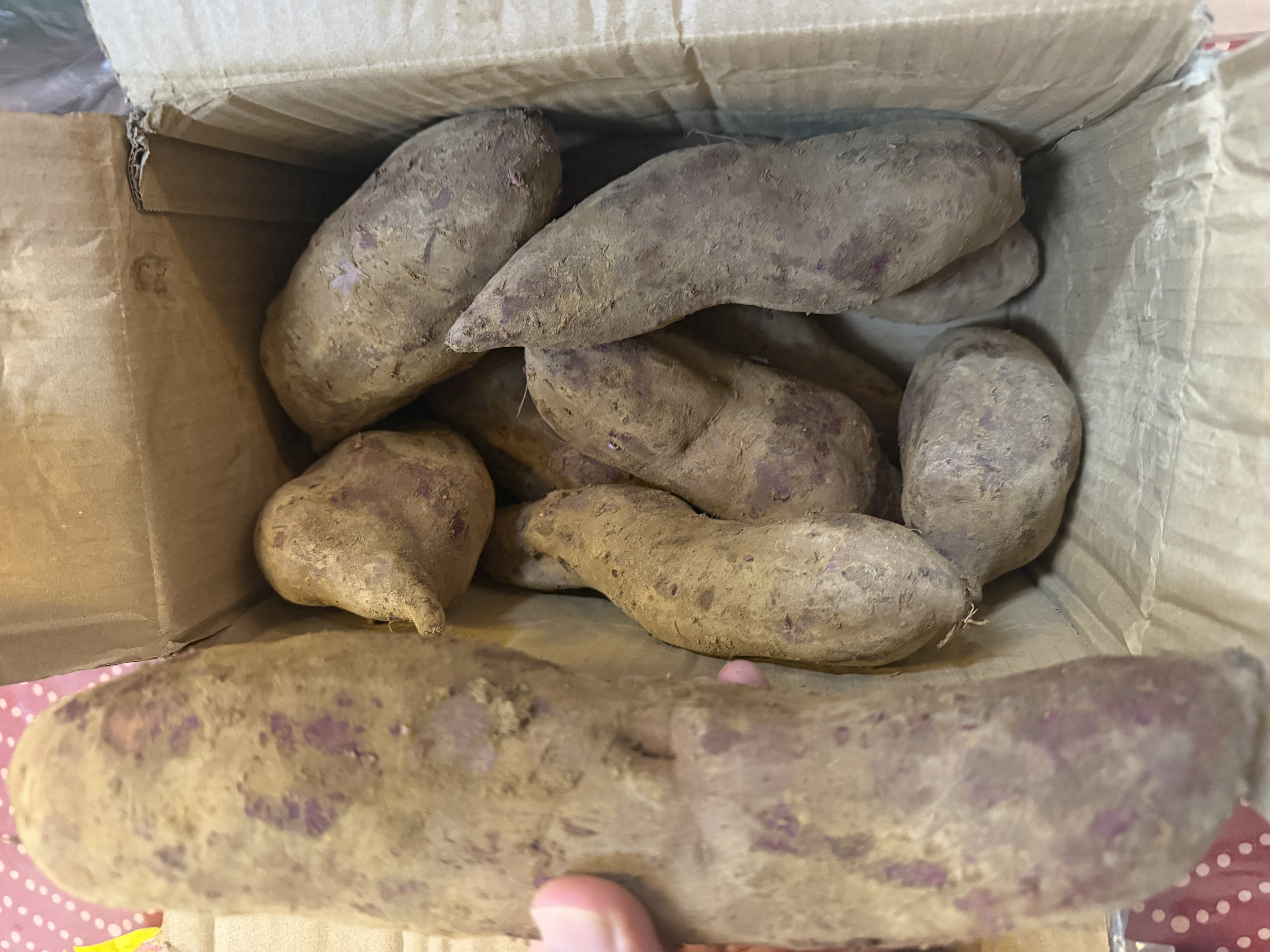 紫罗兰红薯沙地现挖紫薯宝宝辅食紫芋头山芋苕粗粮新鲜包邮 紫罗兰紫薯9斤中大果 含箱 实拍图