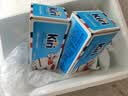 KIRI法国进口奶油奶酪芝士原味1kg*2盒 沙拉蛋糕 面包 烘焙原料 实拍图