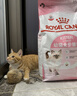 皇家猫粮 幼猫猫粮 幼猫奶糕 K36 通用粮 4-12月 4.5KG 实拍图