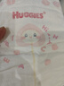 好奇（Huggies）铂金装小桃裤纸尿裤L120片(9-14kg)大号尿不湿【夏季散热王】 实拍图