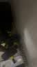 华亚（HUAYA） 哑铃男士杠铃套装可调节环保包胶手铃亚玲家用运动锻炼健身器材 一副两只总重20kg两用款【热销大众选择】 实拍图