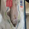 仙泉湖三去白蕉海鲈鱼400g/条净膛冷冻刺少肉厚特产海鲜水产生鲜食材 实拍图