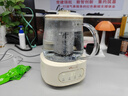 小熊（Bear）全玻璃养生壶 纯玻璃煮茶壶恒温壶 母婴多功能炖煮花茶壶烧水壶 1.5L YSH-H15L2 实拍图