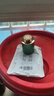 一杯香茶叶茉莉花茶特级横县10g新茶茉莉绿茶自己喝散装试饮装试喝装 实拍图