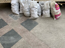 大菠菜300g 实拍图