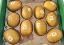 佳沛（zespri）新西兰阳光金奇异果10粒巨大果单果146-175g 猕猴桃水果礼盒 实拍图