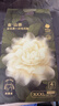 babycare山茶花高腰一次性内裤女士孕妇产后大码月子 XXXL码4条 实拍图