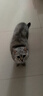 皇家猫粮 室内成猫粮 I27 通用粮 12月以上 4.5KG 实拍图