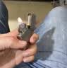 ZIPPO打火机之宝防风煤油 锻纱镀铬 生日礼物送男友送老公 含油套装 实拍图