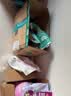 凯锐思中小型犬狗粮 成犬鲜肉肠胃宠物通用泰迪比熊小狗粮 【养胃升级2.0】鲜肉双拼20斤 实拍图
