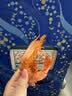 果勋烤虾干即食超大号烤虾干 净重250g 15-25头 对虾干 零食 海鲜干货 实拍图