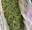 牛宠26年新草9A烘干紫花苜蓿草兔子草料幼兔荷兰猪牧草小豚鼠粮食720g 实拍图