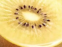 佳沛（zespri）新西兰 阳光金奇异果12粒特大果单果124-146g 猕猴桃水果礼盒 实拍图