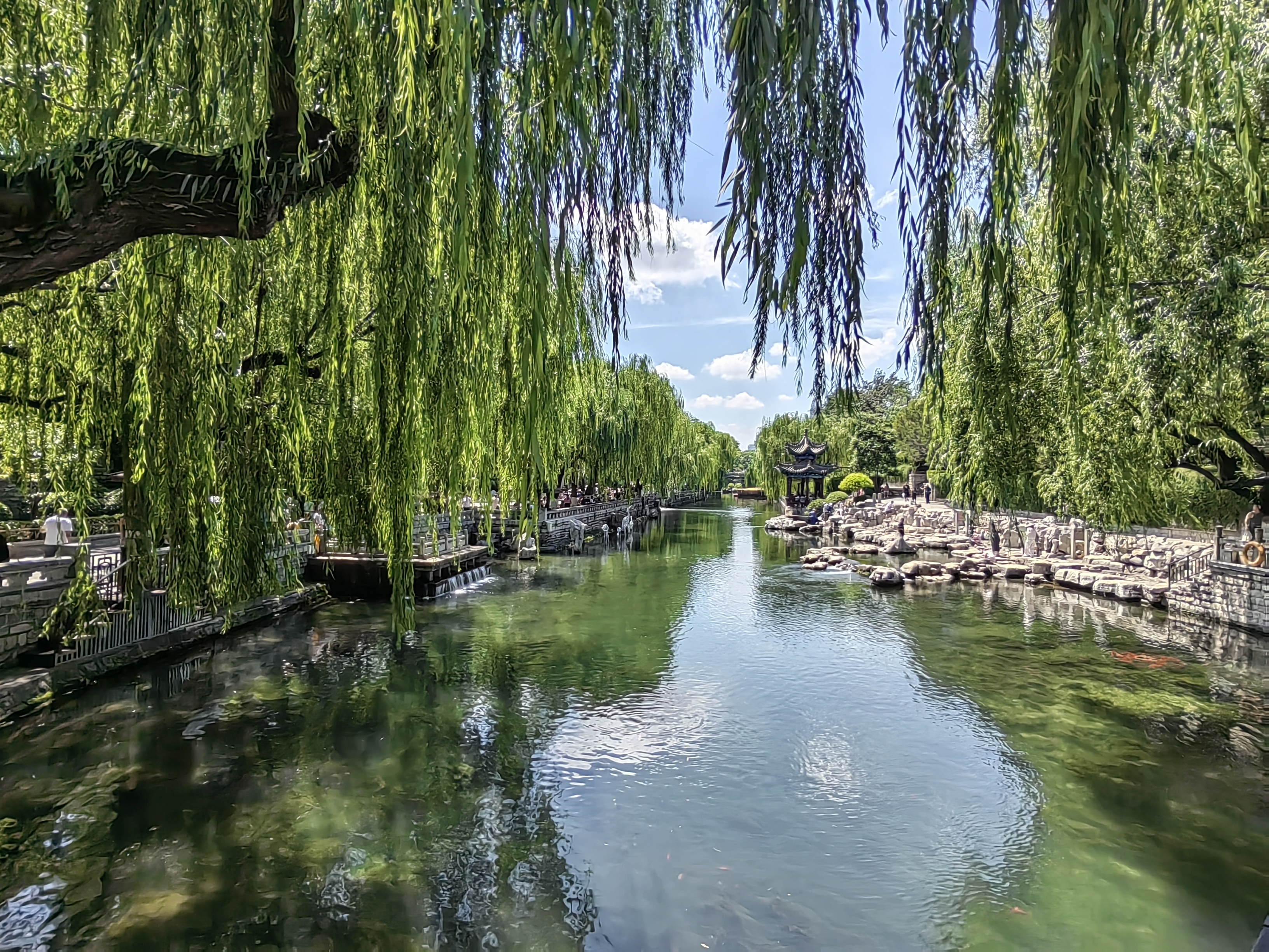 SUISSEWIN 祥兴拉杆布箱耐磨防刮牛津布28英寸大容量旅行托运轻便行李箱黑 实拍图